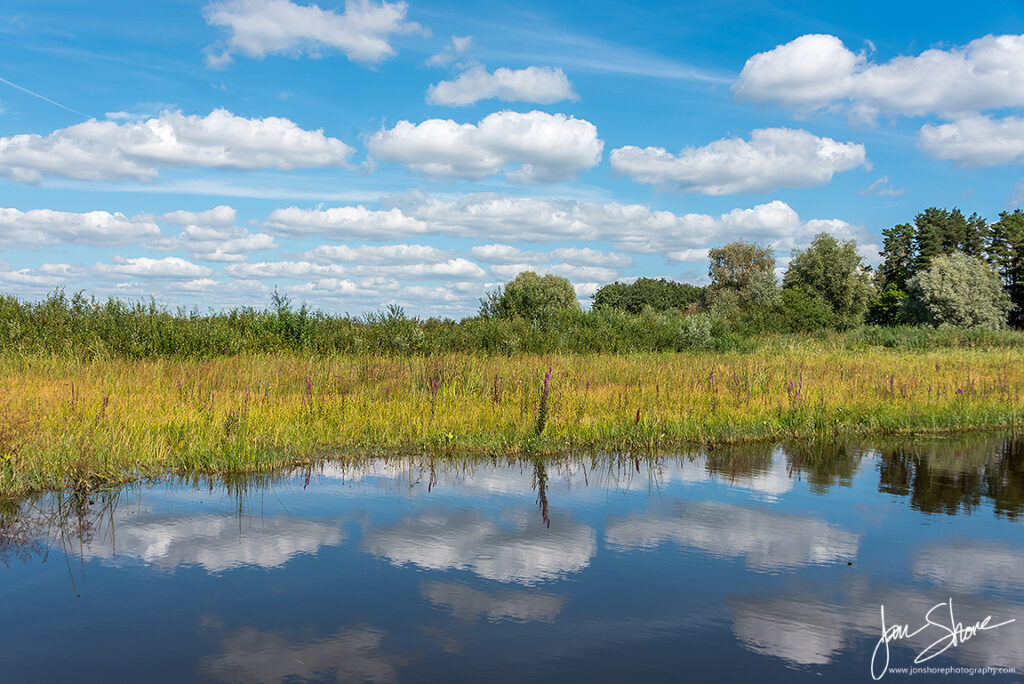 Lake Wetlands Latvia by Jon Shore August 2020 72dpi6298 Outdoor Gear