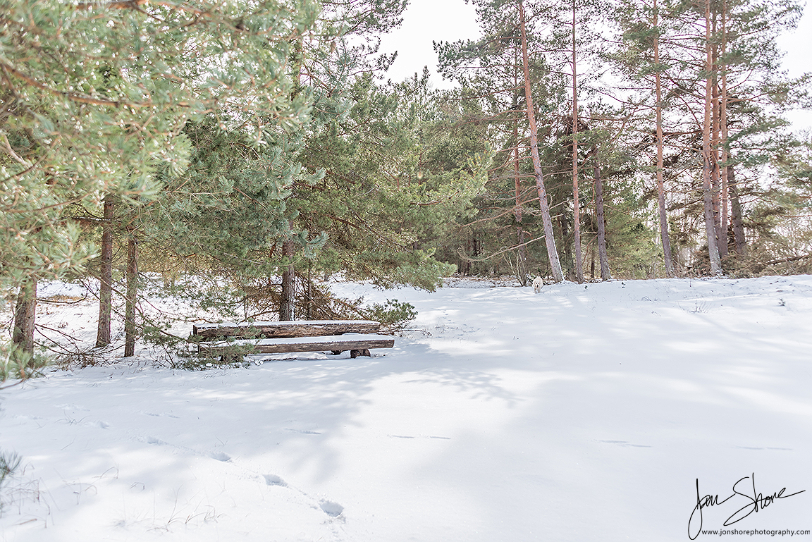 Winter Tuja Latvia by Jon Shore March 2021 72dpi9758 Outdoor Gear Europe