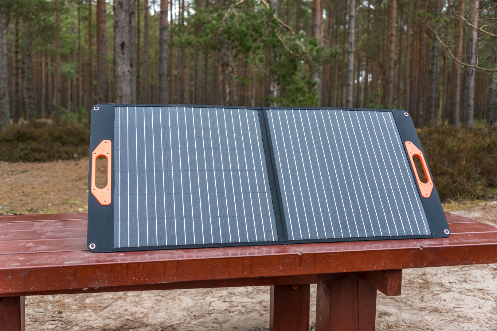 Shine Solar Panel Kolka Latvia by Jon Shore March 2021 600dpi9990