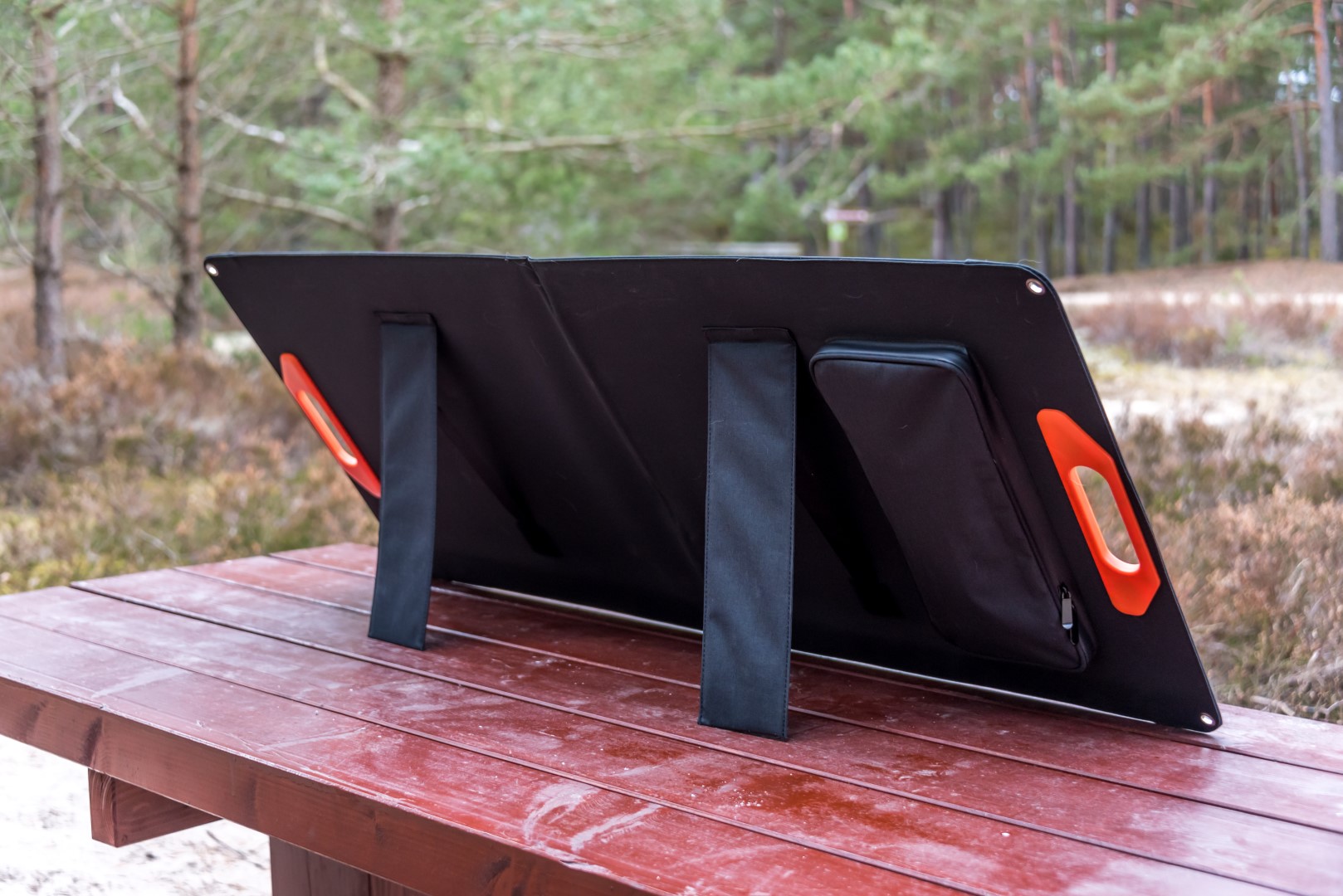 Shine Solar Panel Kolka Latvia by Jon Shore March 2021 600dpi9994