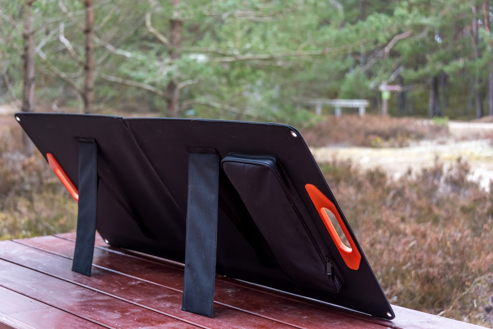 Shine Solar Panel Kolka Latvia by Jon Shore March 2021 600dpi9995